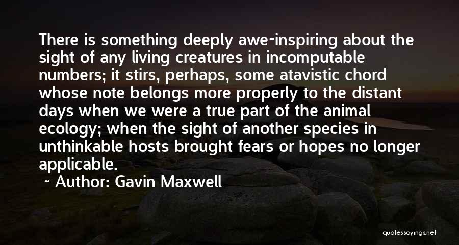 Gavin Maxwell Quotes: There Is Something Deeply Awe-inspiring About The Sight Of Any Living Creatures In Incomputable Numbers; It Stirs, Perhaps, Some Atavistic