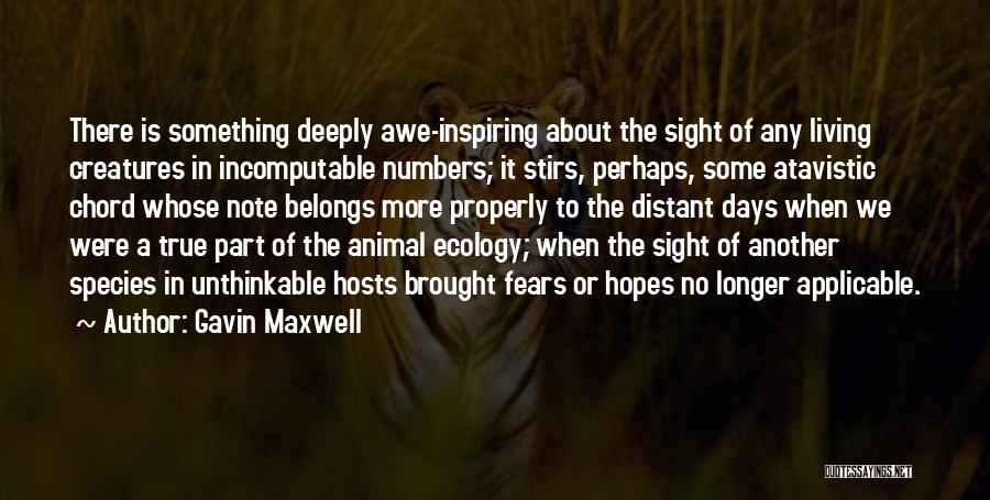 Gavin Maxwell Quotes: There Is Something Deeply Awe-inspiring About The Sight Of Any Living Creatures In Incomputable Numbers; It Stirs, Perhaps, Some Atavistic