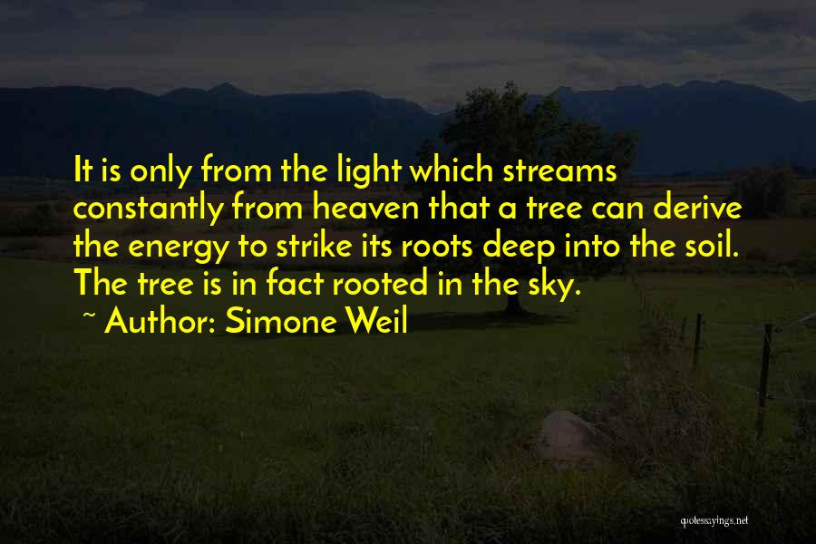 Simone Weil Quotes: It Is Only From The Light Which Streams Constantly From Heaven That A Tree Can Derive The Energy To Strike