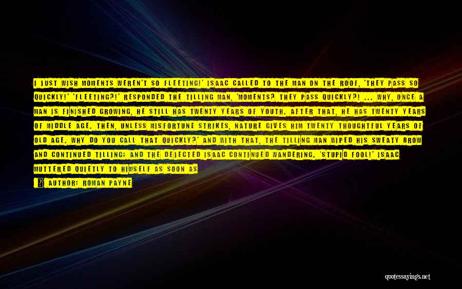 Roman Payne Quotes: I Just Wish Moments Weren't So Fleeting!' Isaac Called To The Man On The Roof, 'they Pass So Quickly!' 'fleeting?!'