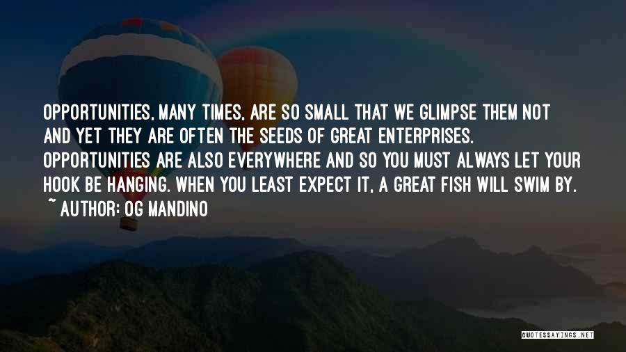 Og Mandino Quotes: Opportunities, Many Times, Are So Small That We Glimpse Them Not And Yet They Are Often The Seeds Of Great