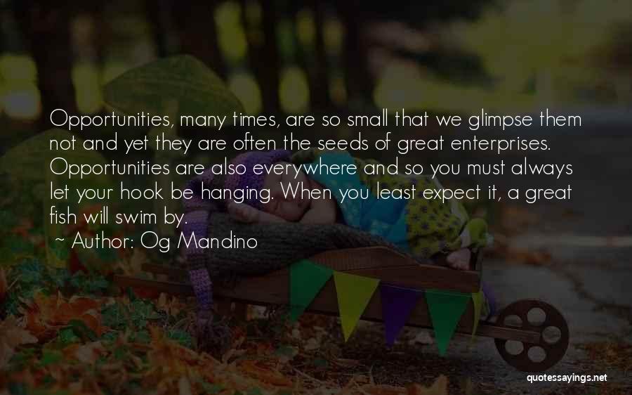 Og Mandino Quotes: Opportunities, Many Times, Are So Small That We Glimpse Them Not And Yet They Are Often The Seeds Of Great