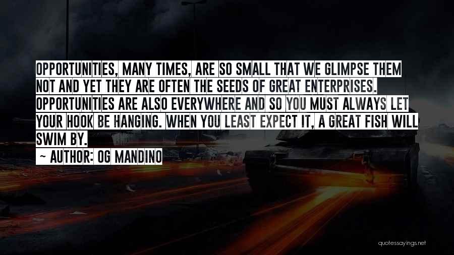 Og Mandino Quotes: Opportunities, Many Times, Are So Small That We Glimpse Them Not And Yet They Are Often The Seeds Of Great