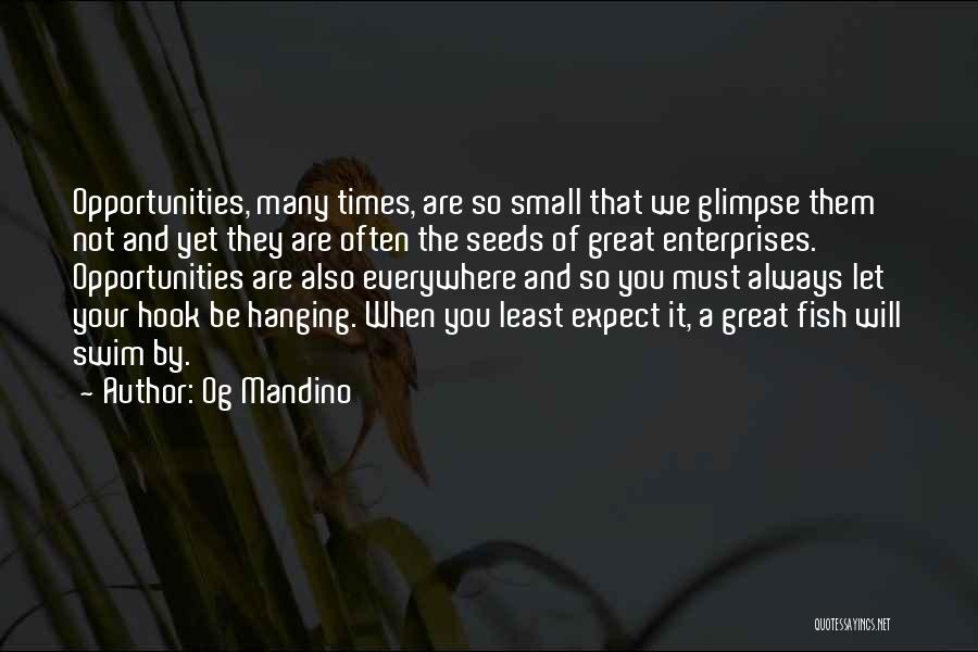 Og Mandino Quotes: Opportunities, Many Times, Are So Small That We Glimpse Them Not And Yet They Are Often The Seeds Of Great