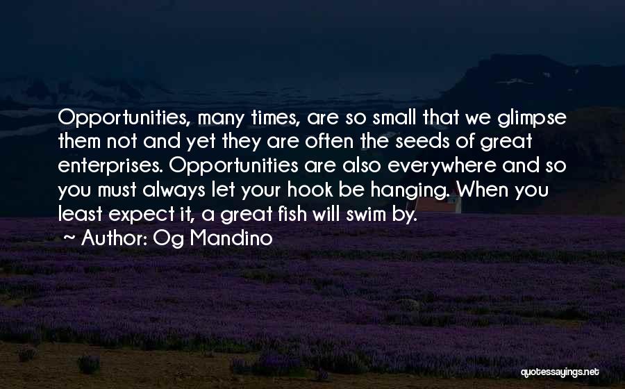 Og Mandino Quotes: Opportunities, Many Times, Are So Small That We Glimpse Them Not And Yet They Are Often The Seeds Of Great