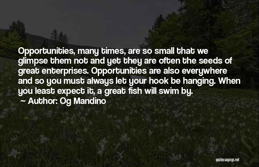 Og Mandino Quotes: Opportunities, Many Times, Are So Small That We Glimpse Them Not And Yet They Are Often The Seeds Of Great