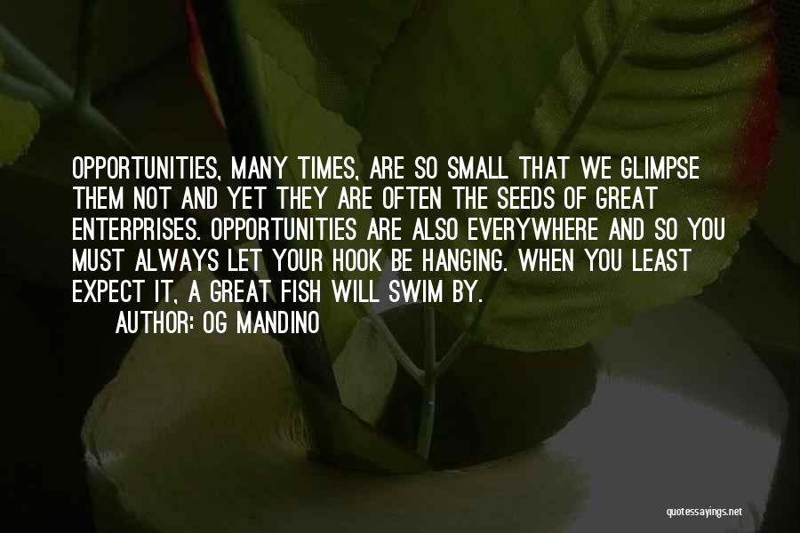 Og Mandino Quotes: Opportunities, Many Times, Are So Small That We Glimpse Them Not And Yet They Are Often The Seeds Of Great
