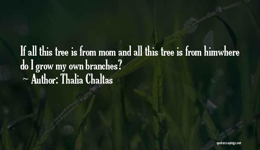 Thalia Chaltas Quotes: If All This Tree Is From Mom And All This Tree Is From Himwhere Do I Grow My Own Branches?