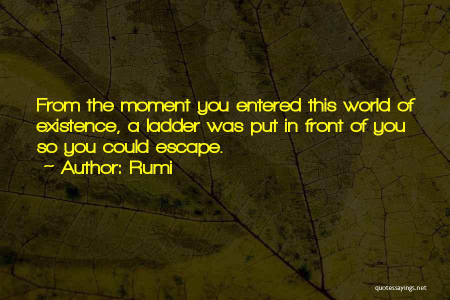 Rumi Quotes: From The Moment You Entered This World Of Existence, A Ladder Was Put In Front Of You So You Could