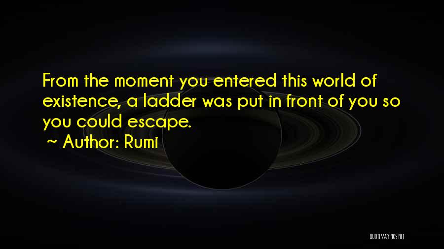 Rumi Quotes: From The Moment You Entered This World Of Existence, A Ladder Was Put In Front Of You So You Could