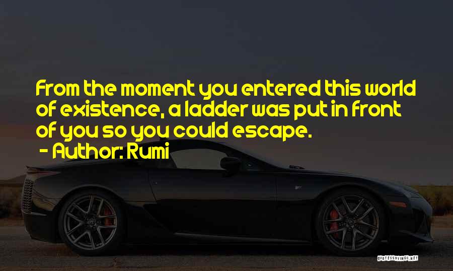 Rumi Quotes: From The Moment You Entered This World Of Existence, A Ladder Was Put In Front Of You So You Could