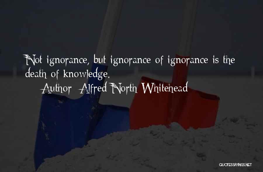 Alfred North Whitehead Quotes: Not Ignorance, But Ignorance Of Ignorance Is The Death Of Knowledge.