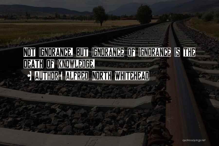 Alfred North Whitehead Quotes: Not Ignorance, But Ignorance Of Ignorance Is The Death Of Knowledge.