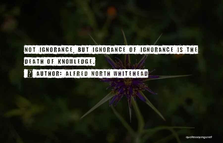 Alfred North Whitehead Quotes: Not Ignorance, But Ignorance Of Ignorance Is The Death Of Knowledge.