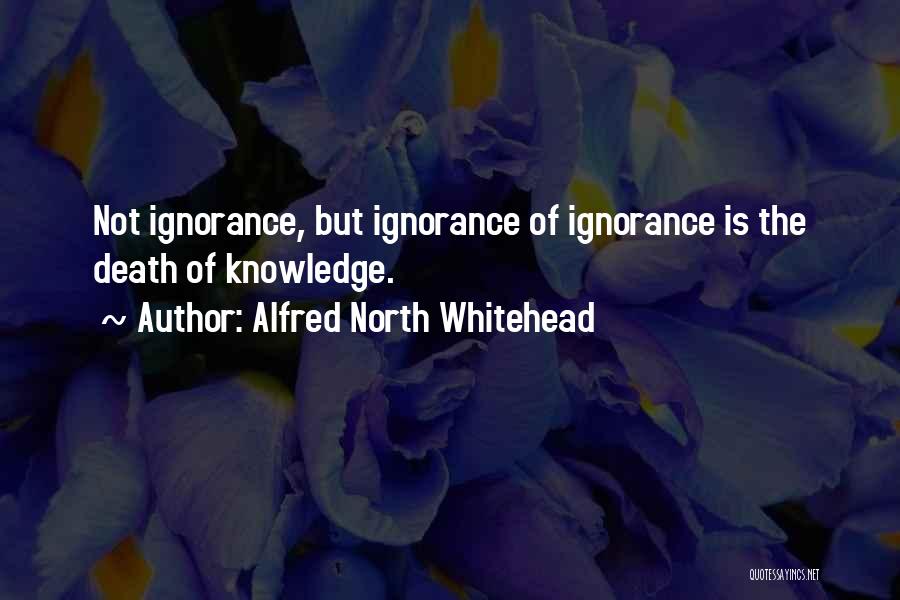 Alfred North Whitehead Quotes: Not Ignorance, But Ignorance Of Ignorance Is The Death Of Knowledge.