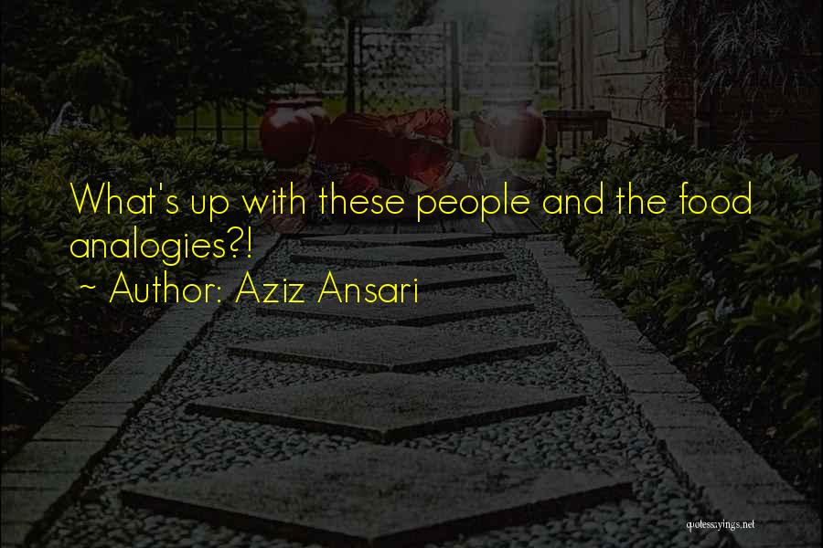 Aziz Ansari Quotes: What's Up With These People And The Food Analogies?!