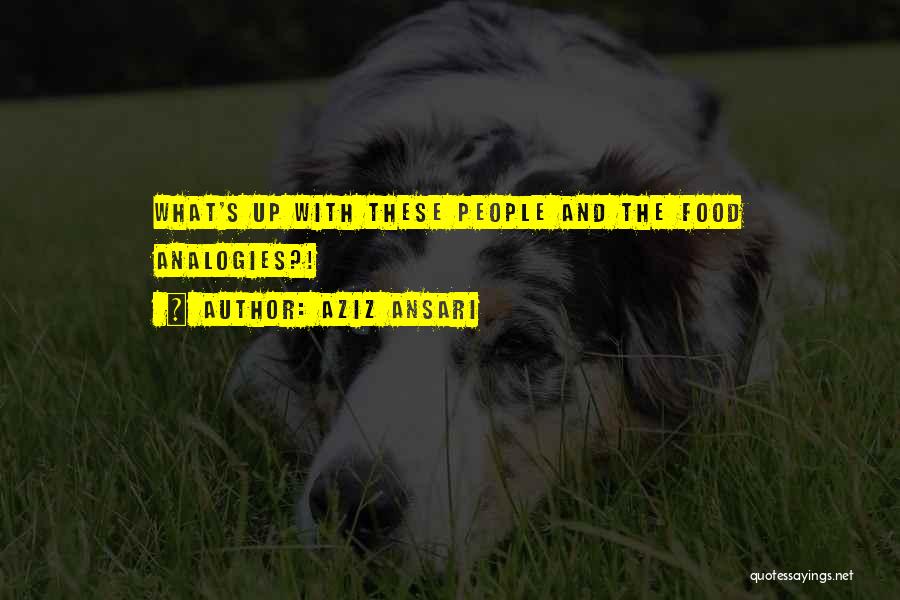 Aziz Ansari Quotes: What's Up With These People And The Food Analogies?!