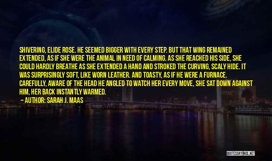 Sarah J. Maas Quotes: Shivering, Elide Rose. He Seemed Bigger With Every Step. But That Wing Remained Extended, As If She Were The Animal