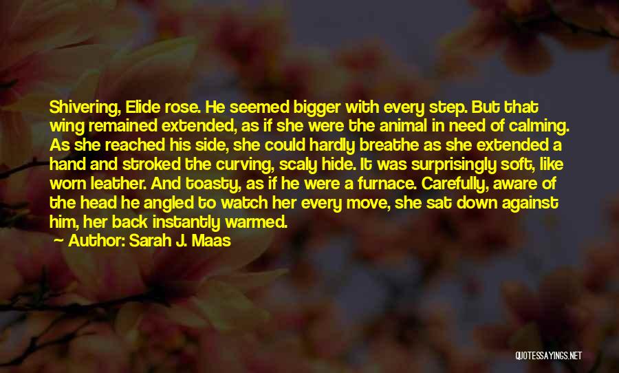 Sarah J. Maas Quotes: Shivering, Elide Rose. He Seemed Bigger With Every Step. But That Wing Remained Extended, As If She Were The Animal