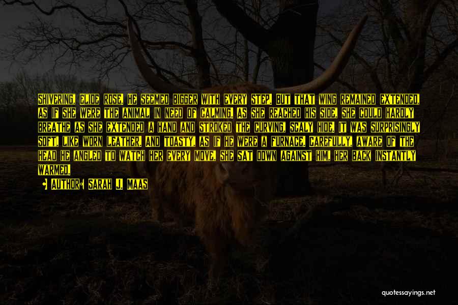 Sarah J. Maas Quotes: Shivering, Elide Rose. He Seemed Bigger With Every Step. But That Wing Remained Extended, As If She Were The Animal