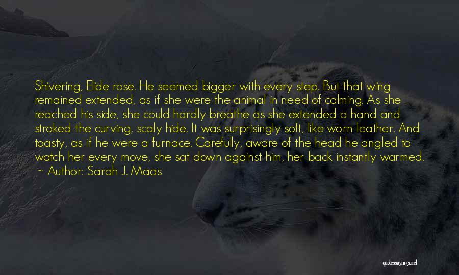 Sarah J. Maas Quotes: Shivering, Elide Rose. He Seemed Bigger With Every Step. But That Wing Remained Extended, As If She Were The Animal