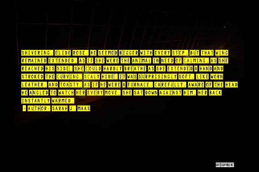 Sarah J. Maas Quotes: Shivering, Elide Rose. He Seemed Bigger With Every Step. But That Wing Remained Extended, As If She Were The Animal