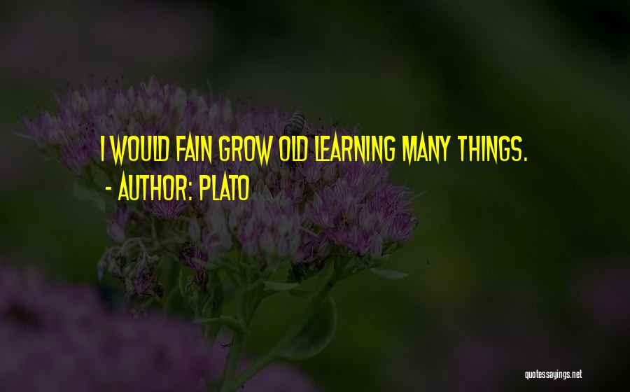 Plato Quotes: I Would Fain Grow Old Learning Many Things.