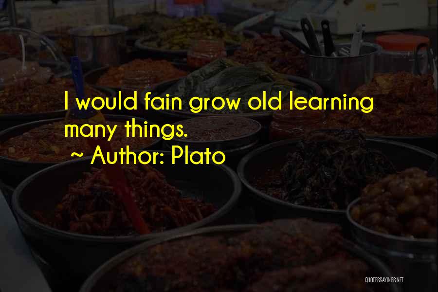 Plato Quotes: I Would Fain Grow Old Learning Many Things.