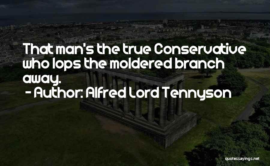 Alfred Lord Tennyson Quotes: That Man's The True Conservative Who Lops The Moldered Branch Away.