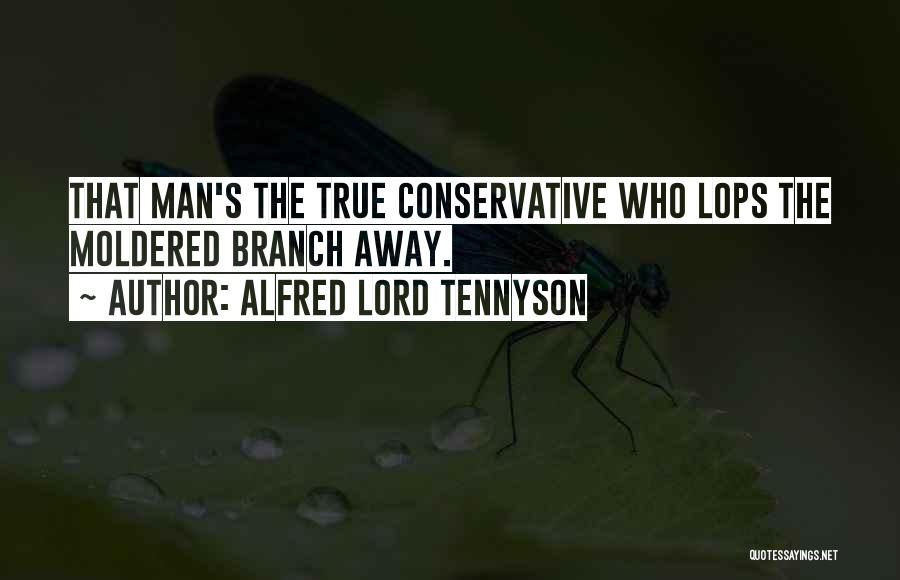 Alfred Lord Tennyson Quotes: That Man's The True Conservative Who Lops The Moldered Branch Away.