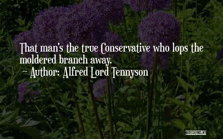 Alfred Lord Tennyson Quotes: That Man's The True Conservative Who Lops The Moldered Branch Away.