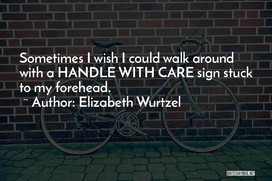 Elizabeth Wurtzel Quotes: Sometimes I Wish I Could Walk Around With A Handle With Care Sign Stuck To My Forehead.