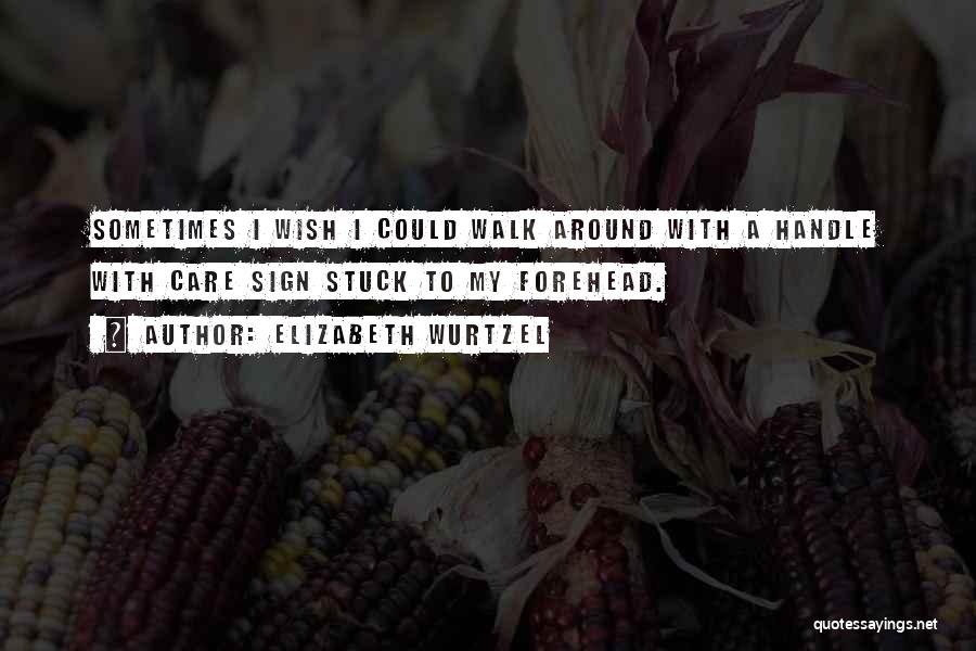 Elizabeth Wurtzel Quotes: Sometimes I Wish I Could Walk Around With A Handle With Care Sign Stuck To My Forehead.