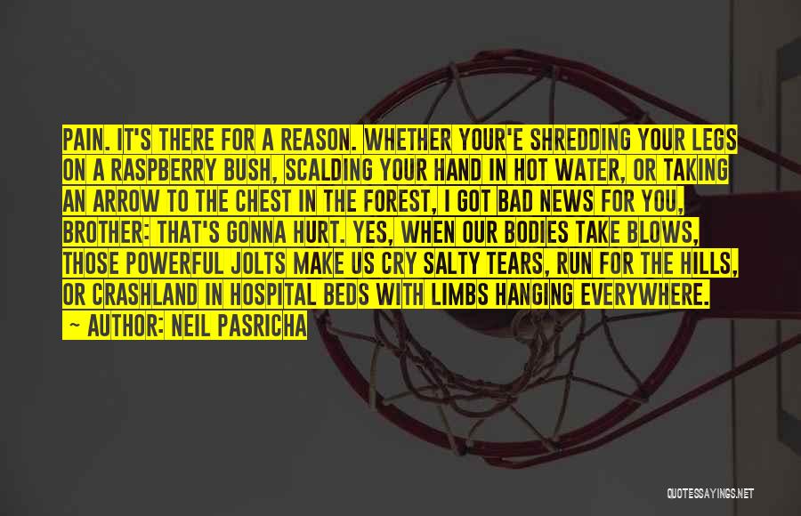 Neil Pasricha Quotes: Pain. It's There For A Reason. Whether Your'e Shredding Your Legs On A Raspberry Bush, Scalding Your Hand In Hot