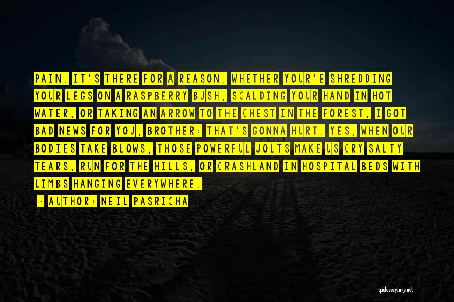 Neil Pasricha Quotes: Pain. It's There For A Reason. Whether Your'e Shredding Your Legs On A Raspberry Bush, Scalding Your Hand In Hot