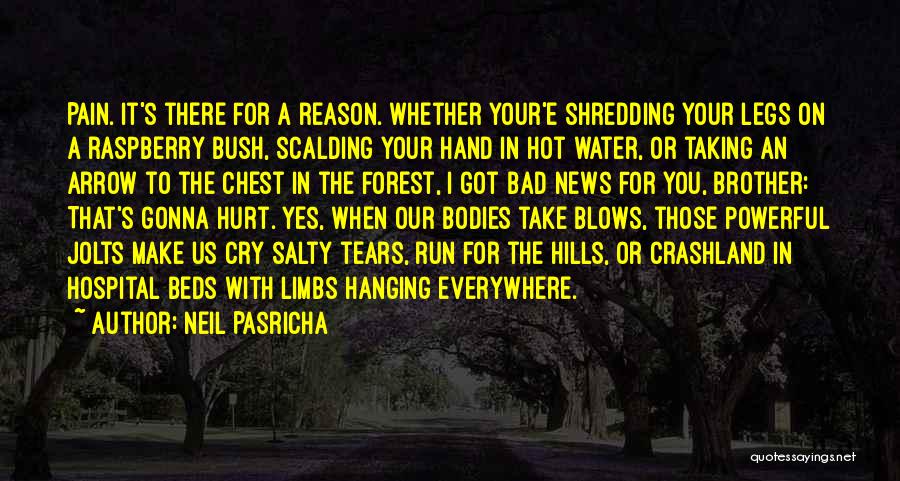 Neil Pasricha Quotes: Pain. It's There For A Reason. Whether Your'e Shredding Your Legs On A Raspberry Bush, Scalding Your Hand In Hot