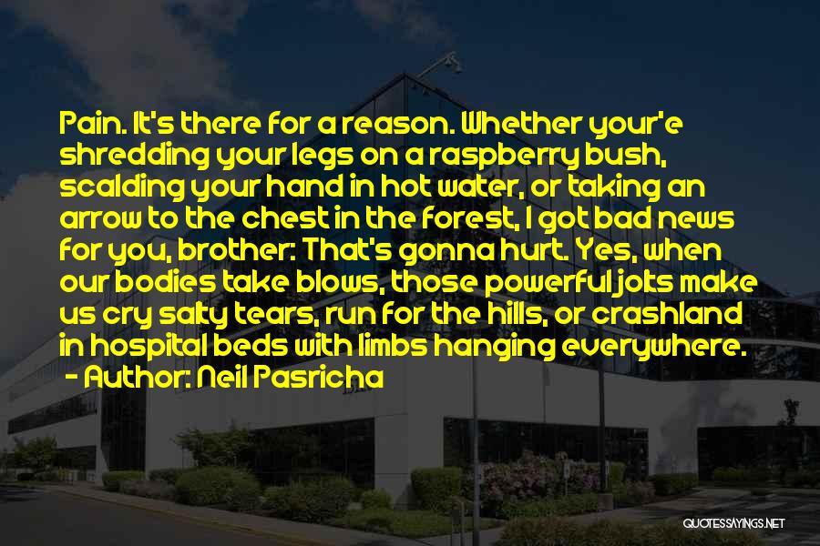 Neil Pasricha Quotes: Pain. It's There For A Reason. Whether Your'e Shredding Your Legs On A Raspberry Bush, Scalding Your Hand In Hot