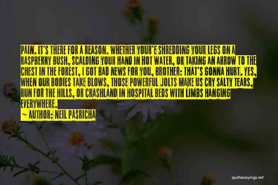 Neil Pasricha Quotes: Pain. It's There For A Reason. Whether Your'e Shredding Your Legs On A Raspberry Bush, Scalding Your Hand In Hot