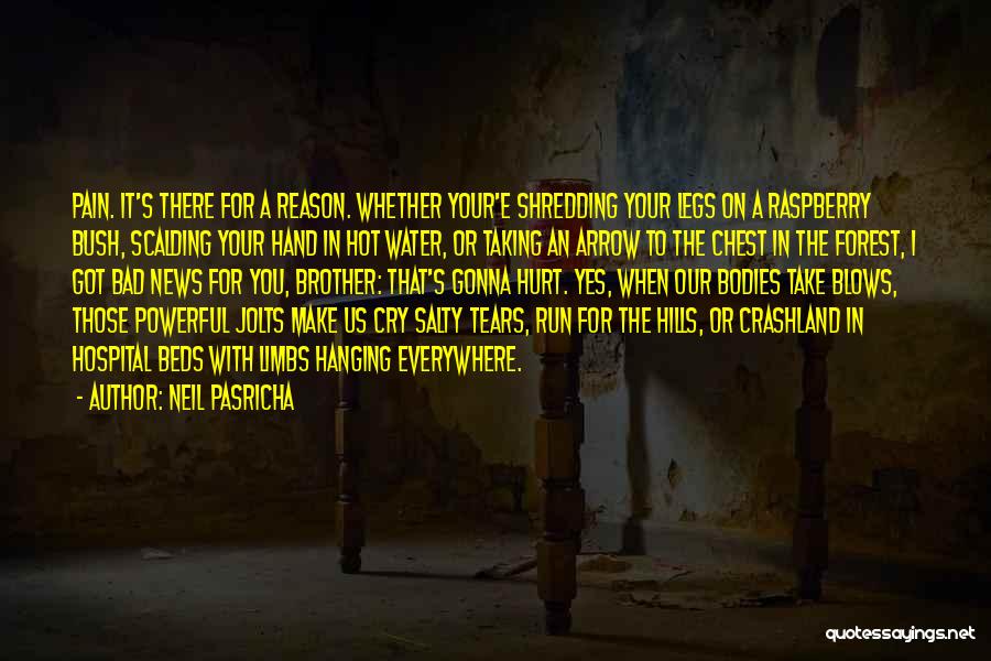 Neil Pasricha Quotes: Pain. It's There For A Reason. Whether Your'e Shredding Your Legs On A Raspberry Bush, Scalding Your Hand In Hot