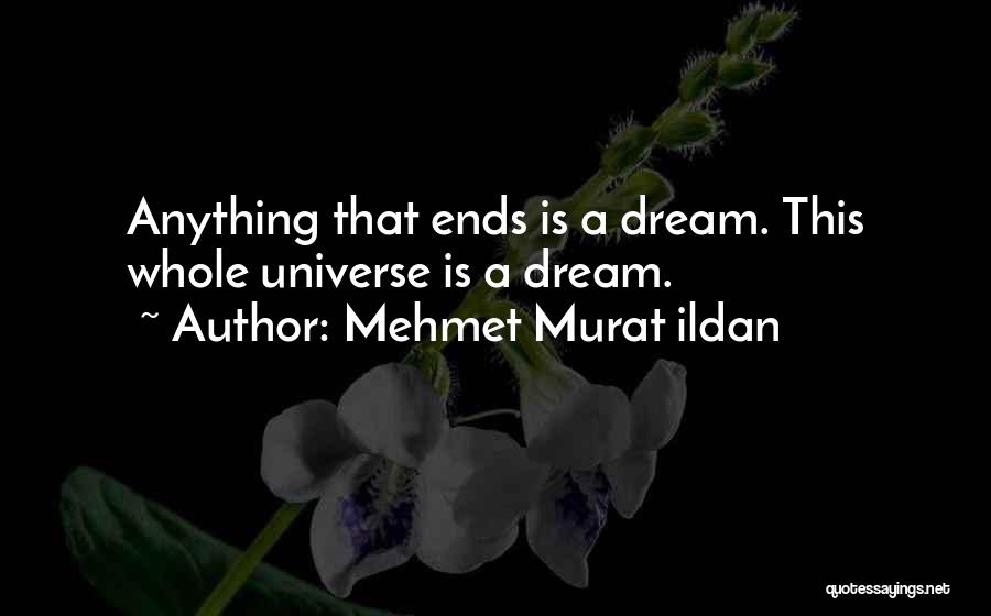 Mehmet Murat Ildan Quotes: Anything That Ends Is A Dream. This Whole Universe Is A Dream.