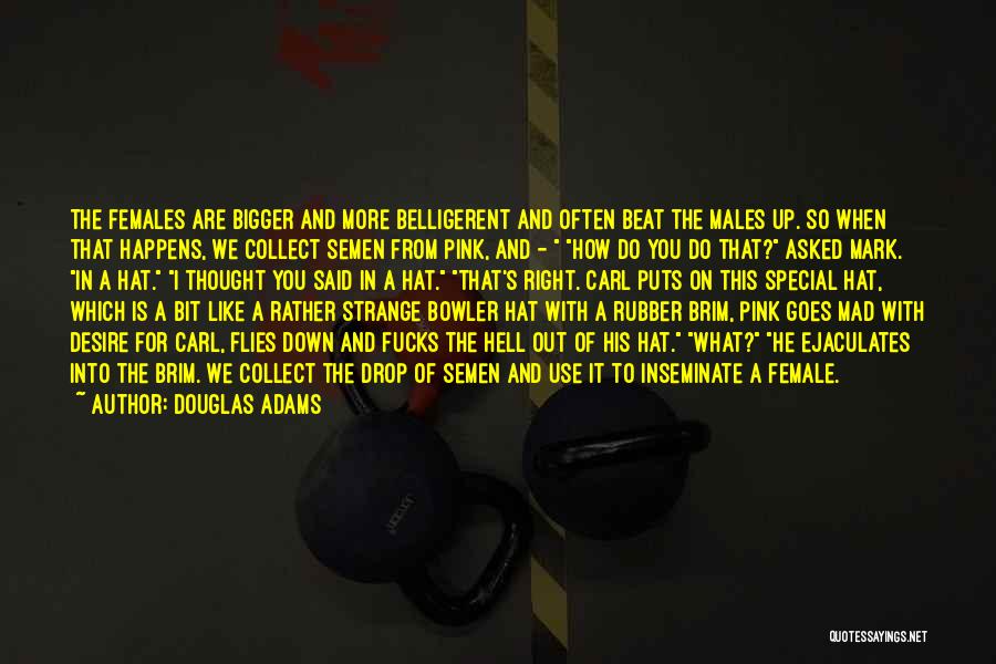 Douglas Adams Quotes: The Females Are Bigger And More Belligerent And Often Beat The Males Up. So When That Happens, We Collect Semen