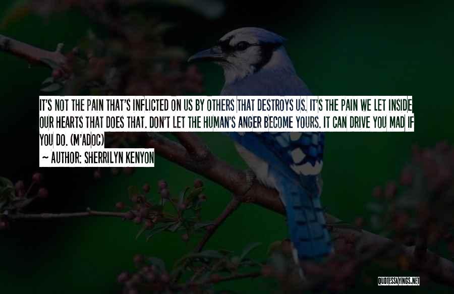 Sherrilyn Kenyon Quotes: It's Not The Pain That's Inflicted On Us By Others That Destroys Us. It's The Pain We Let Inside Our