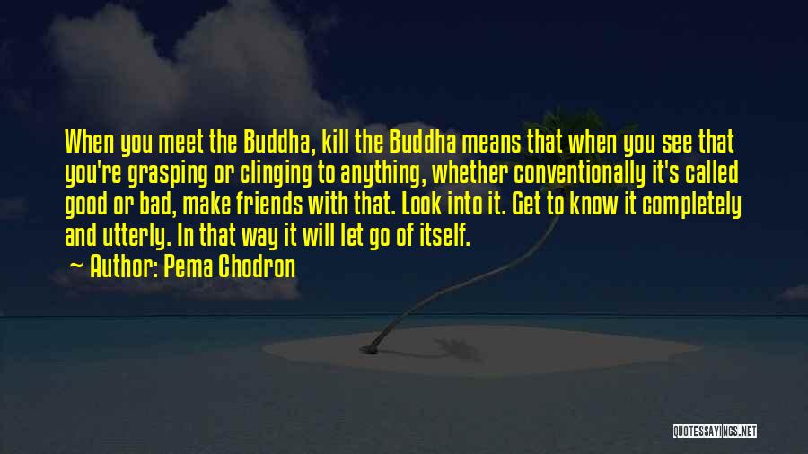 Pema Chodron Quotes: When You Meet The Buddha, Kill The Buddha Means That When You See That You're Grasping Or Clinging To Anything,
