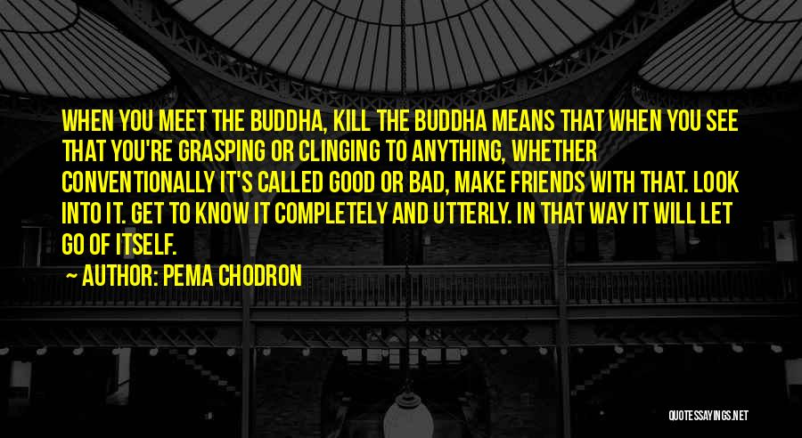 Pema Chodron Quotes: When You Meet The Buddha, Kill The Buddha Means That When You See That You're Grasping Or Clinging To Anything,