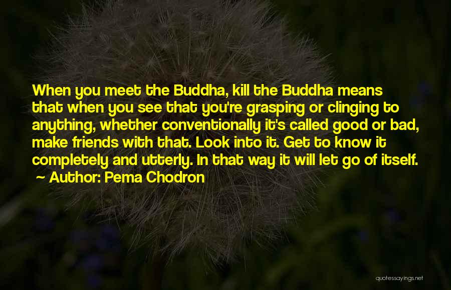 Pema Chodron Quotes: When You Meet The Buddha, Kill The Buddha Means That When You See That You're Grasping Or Clinging To Anything,