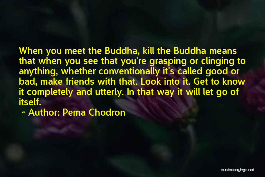 Pema Chodron Quotes: When You Meet The Buddha, Kill The Buddha Means That When You See That You're Grasping Or Clinging To Anything,