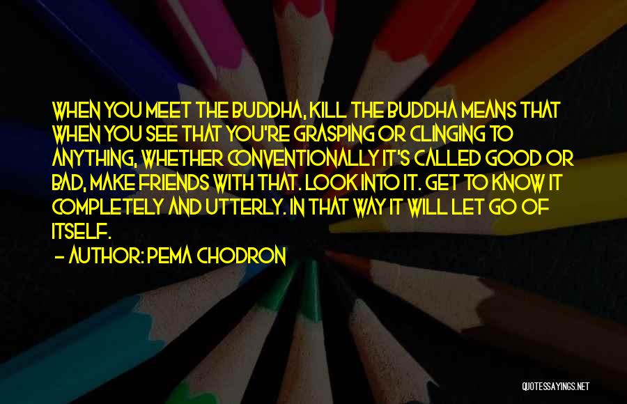 Pema Chodron Quotes: When You Meet The Buddha, Kill The Buddha Means That When You See That You're Grasping Or Clinging To Anything,