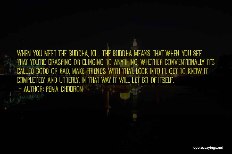 Pema Chodron Quotes: When You Meet The Buddha, Kill The Buddha Means That When You See That You're Grasping Or Clinging To Anything,
