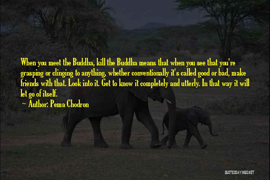 Pema Chodron Quotes: When You Meet The Buddha, Kill The Buddha Means That When You See That You're Grasping Or Clinging To Anything,