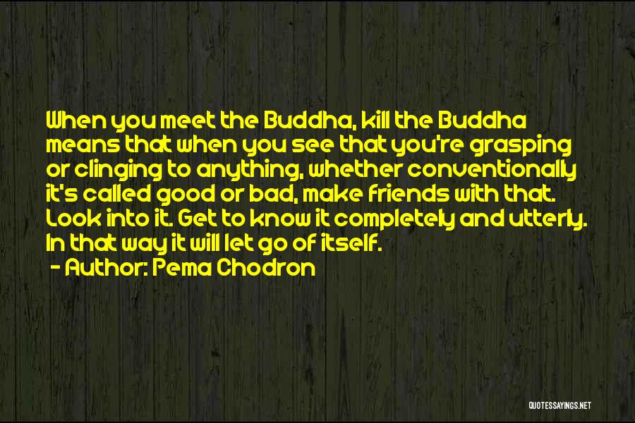 Pema Chodron Quotes: When You Meet The Buddha, Kill The Buddha Means That When You See That You're Grasping Or Clinging To Anything,